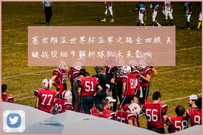 塞尔维亚世界杯亚军之路全回顾 关键战役细节解析球队未来影响
