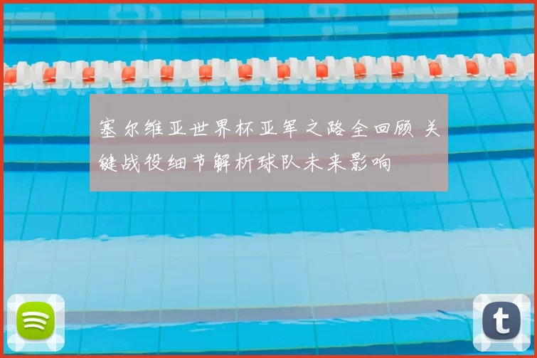 塞尔维亚世界杯亚军之路全回顾 关键战役细节解析球队未来影响