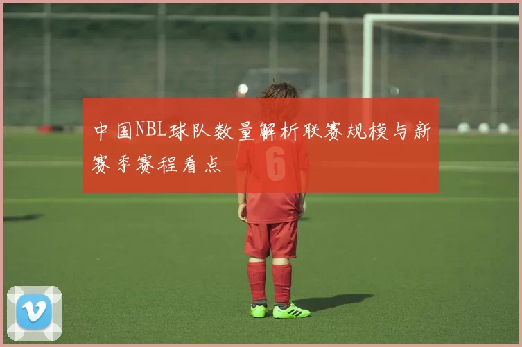 中国NBL球队数量解析联赛规模与新赛季赛程看点